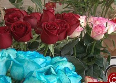 فراوری سالانه بیش از 4 میلیون شاخه گل رز هلندی در یزد