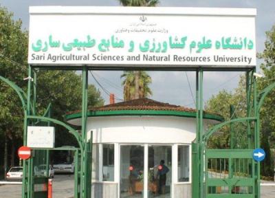 زوایای جدیدی از مکانیسم های پاسخ گیاهان به تنش شوری شناسایی شد